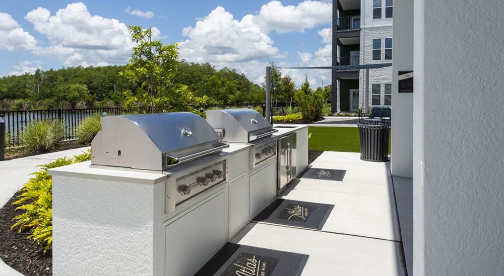 atlasgrandpalm0053 b9503b9635be40c1f61e82812924492a