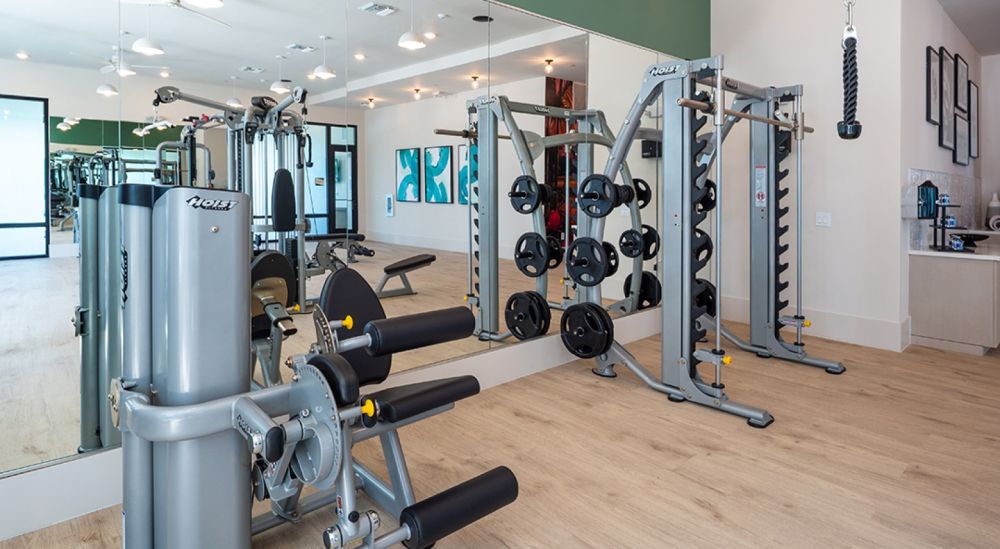 atlasgrandpalm0367ed5d90b2423f19d77975c29c1a2eb