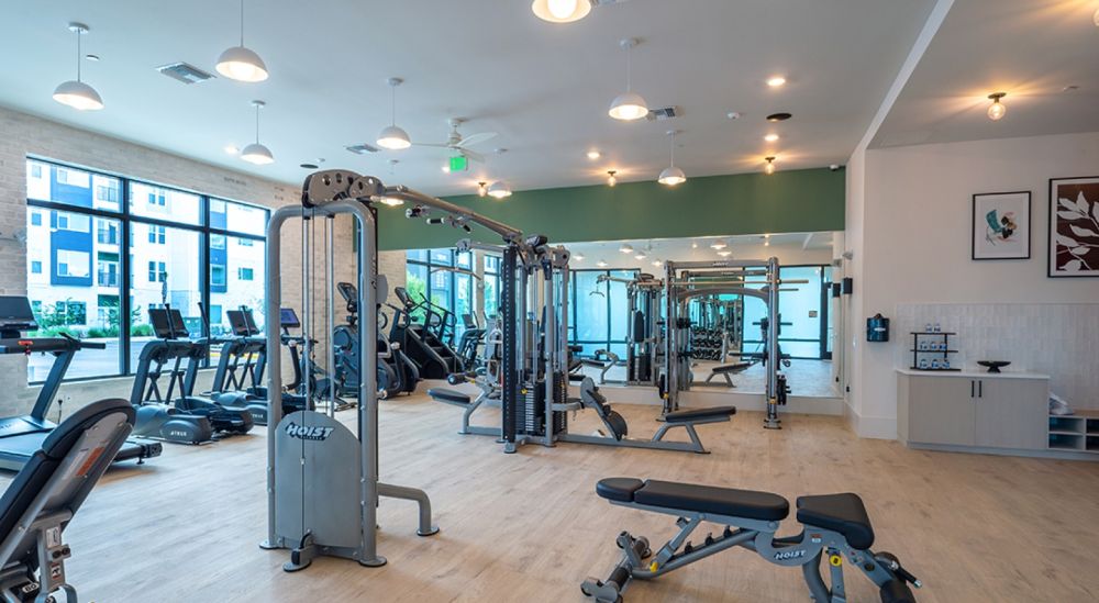 atlasgrandpalm0378 b5d950a307143fde069b73e9463c9746