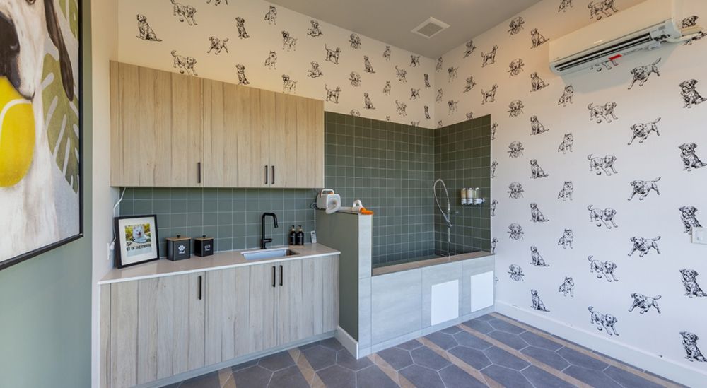 atlasgrandpalm0556eee2a7a923f41520fd69d53f8b676