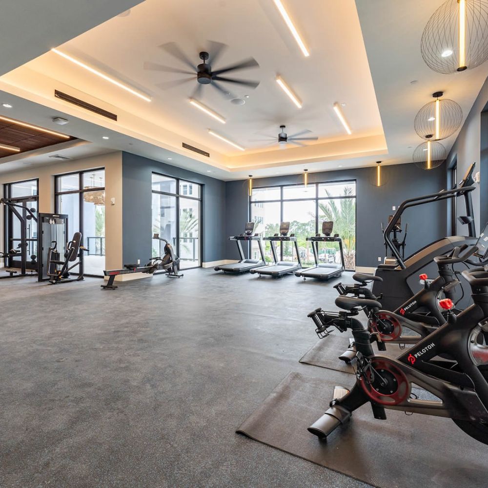 gallery gym abfc4dcfc64e34ce26e1a5168cc0025a