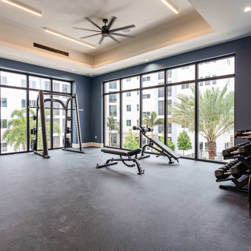 gallery gym2 a466cf744e2e96e81eaec1683d42015c